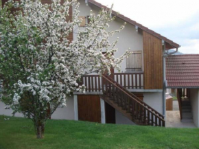 Отель Duplex Bellevue  Жерардмер